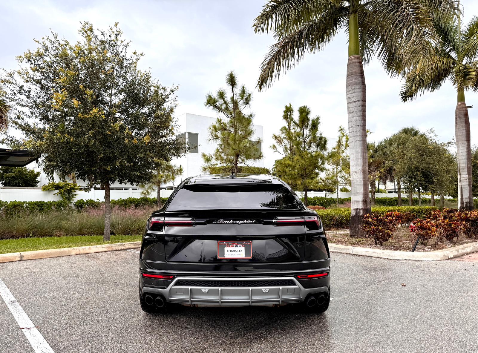 Image Lamborghini Urus 2019